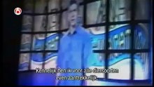 Коты и собаки