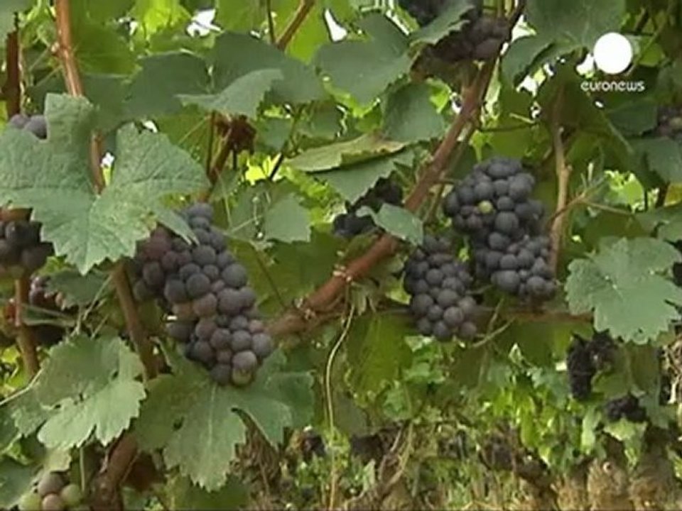 France: la vente du château de Gevrey-Chambertin à un...
