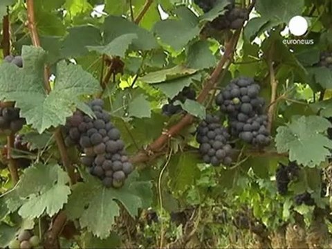 France: la vente du château de Gevrey-Chambertin à un...