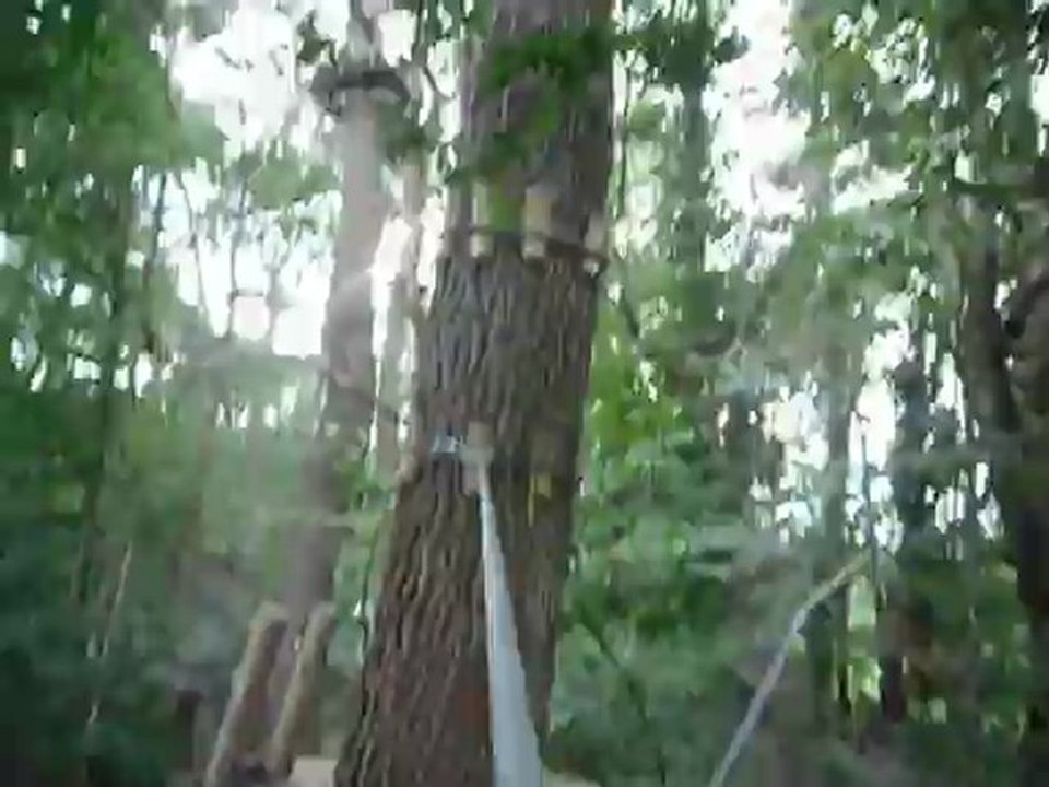 Accrobranche 2