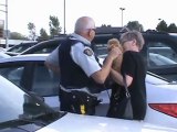 Dog locked in vehicle 29C/84F Codiac RCMP Motorcycle Officer first on scene