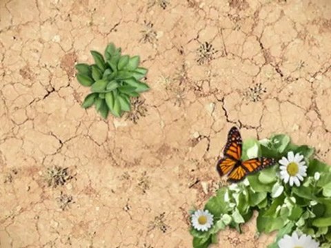 Window Restoration Gold Coast