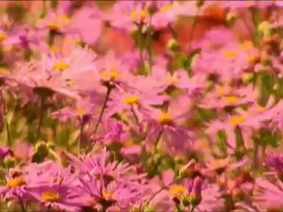 Summer - Vivaldi - Julia Fischer