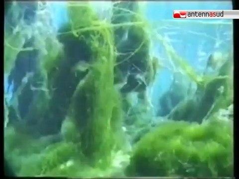 TG 23.08.12 Albano e Romina di nuovo insieme contro l'assessore