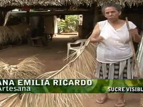 AGOSTO 1 DE 2012 SUCRE VISIBLE