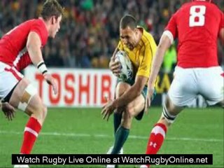 watch Bledisloe Cup Australia vs New Zealand live streaming