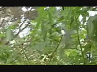 ★》》》태양성카지노★》》》 RaH333.com ★》》》다모아카지노★》》》