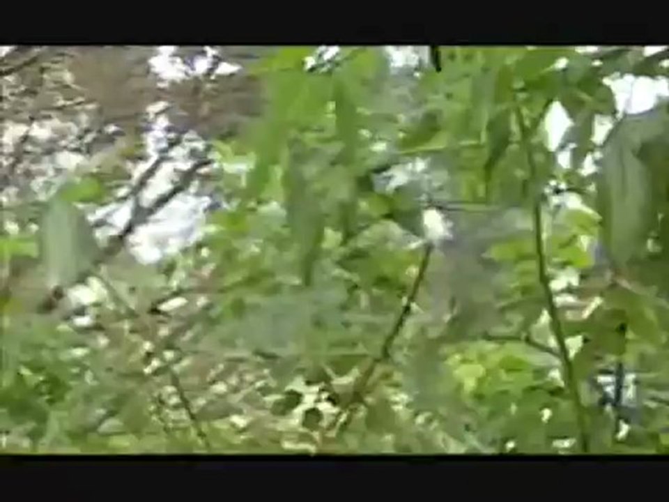★》》》태양성카지노★》》》 RaH333.com ★》》》다모아카지노★》》》