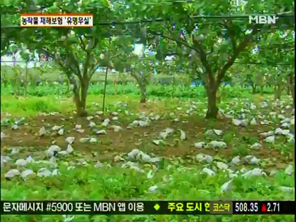 MBN News 8, August 31, 2012