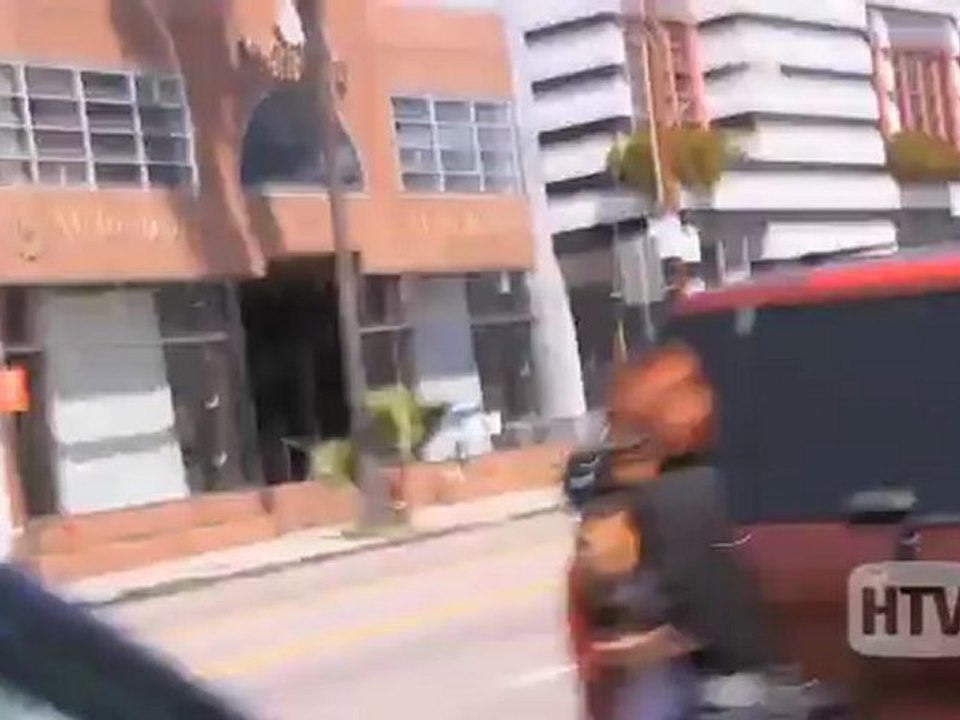 Appenzeller Sennenhund: Rumer Willis Spotted In Hollywood With New Dog Indy Blue.