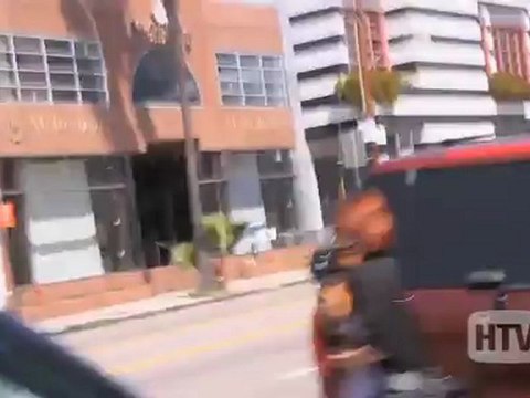 Appenzeller Sennenhund: Rumer Willis Spotted In Hollywood With New Dog Indy Blue.