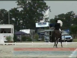 Dressage Vendredi Apres Midi