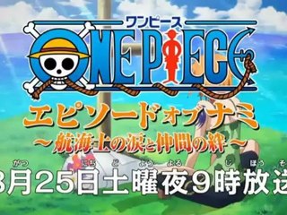 one piece especial nami animetakus