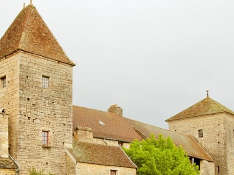 Vente du château de Gevrey-Chambertin