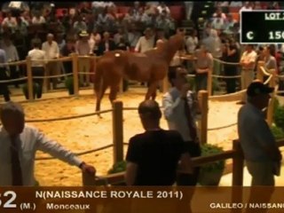 Intégrale des ventes de Deauville : lot 15 à 43