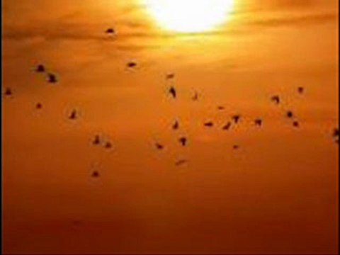 ih ya cheikhna......... ezzahi milano