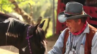 Kirk The Horse Whisperer - An intimate moment with a horse.