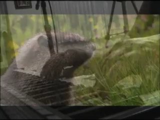 gönülden esintiler