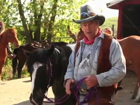 Kirk The Horse Whisperer - How to befriend a horse.