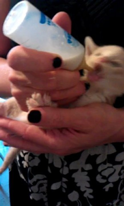 VIDEO0018