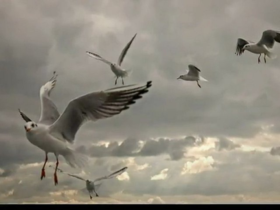 Elli Kokkinou  Geia Sou