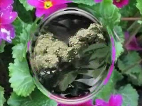 Saud Al-Shuraim- Surah- Al-Muzzammil - YouTube