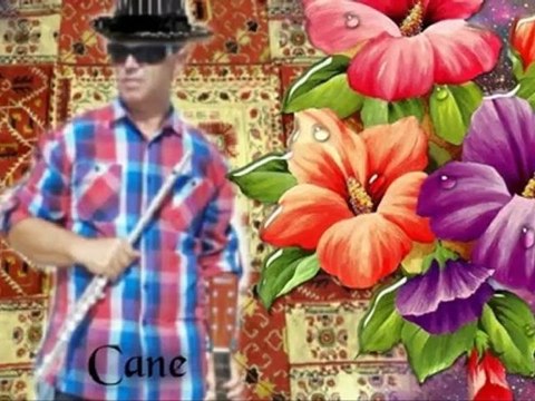 CANE NIKOLOVSKI - VIOLETA