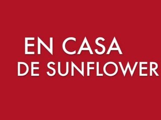 LA COLITIS INFORMA EN CASA DE SUNFLOWER