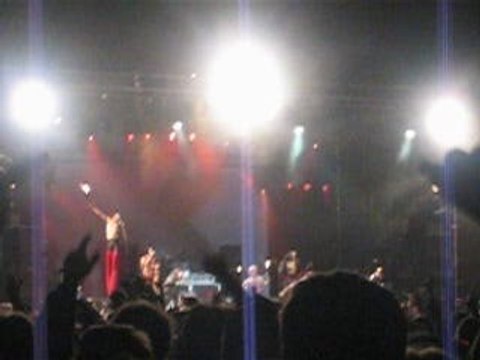 Bérurier Noir live dour 2004