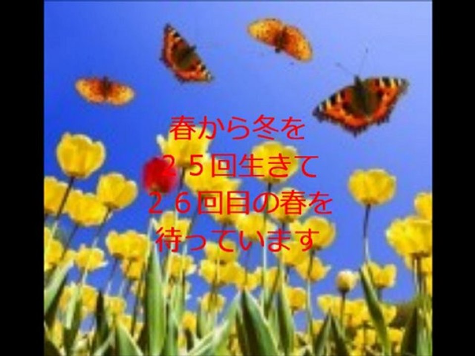 風になるまで、春がくるまで