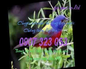 Thợ sửa ống nước tại quận 1 call 0936 890 585