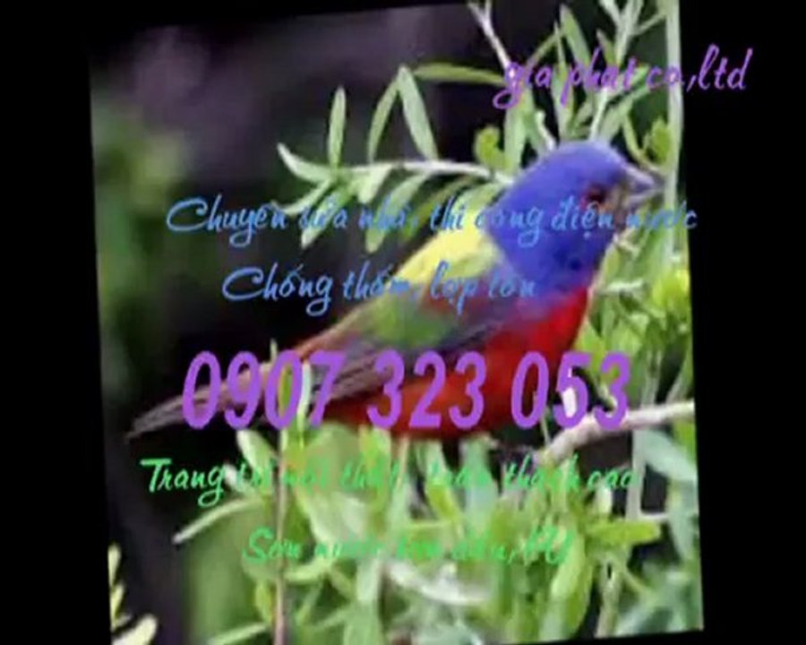 Thợ sửa ống nước tại quận 2 call 0936 890 585