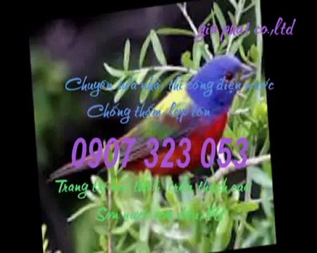 Thợ sửa ống nước tại quận 3 call 0936 890 585