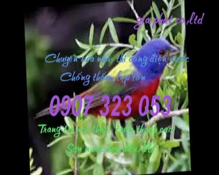 Thợ sửa đường ống nước tại quận 5 tphcm call 0936 890 585