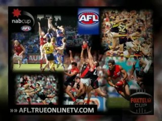 St Kilda v GWS Giants - - Live - Score - Tickets - Results - rules of aussie rules football