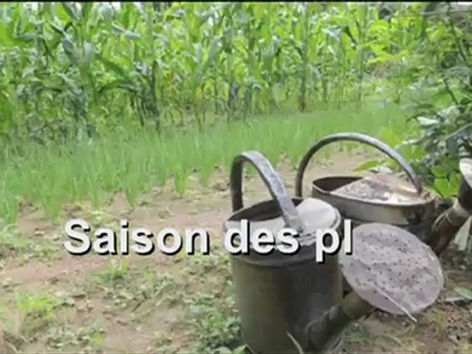 agriaout12
