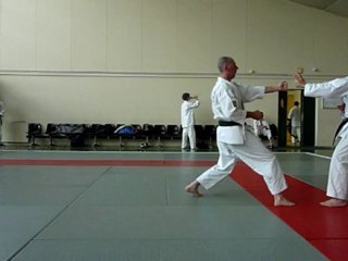 bunkai bassai dai 2