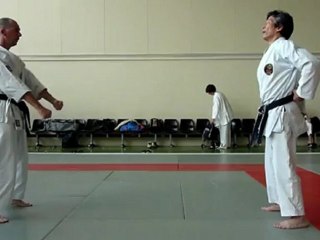 bunkai bassai dai 3