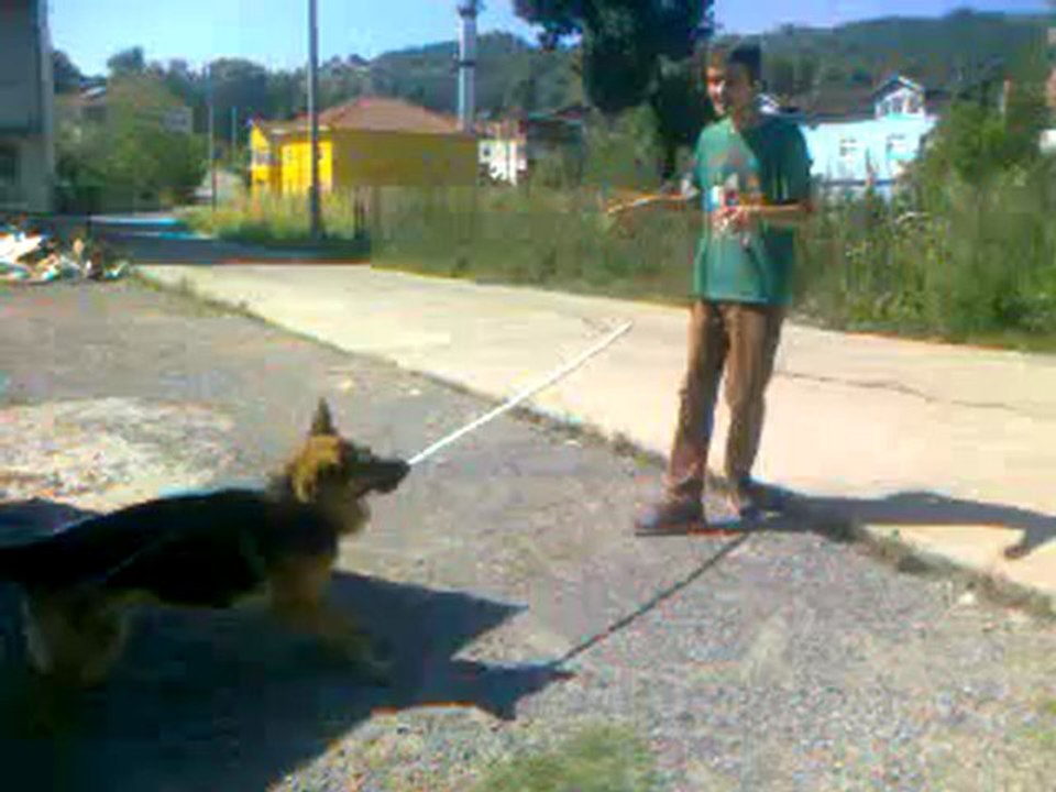 Video0002