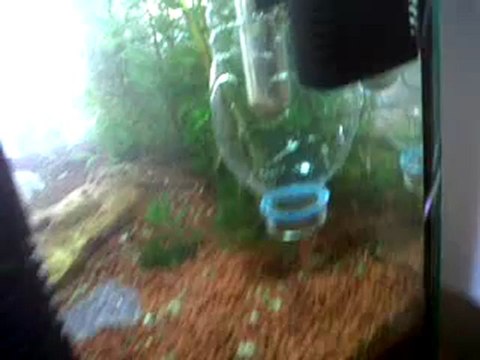 Mayalı Co2 Difüzör