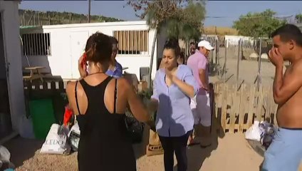 TV3 - Telenotícies - La protectora d'animals de Mataró, en perill