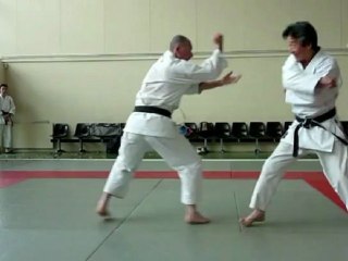 bunkai bassai dai 5