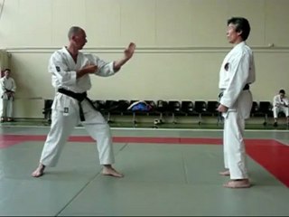 bunkai bassai dai 6