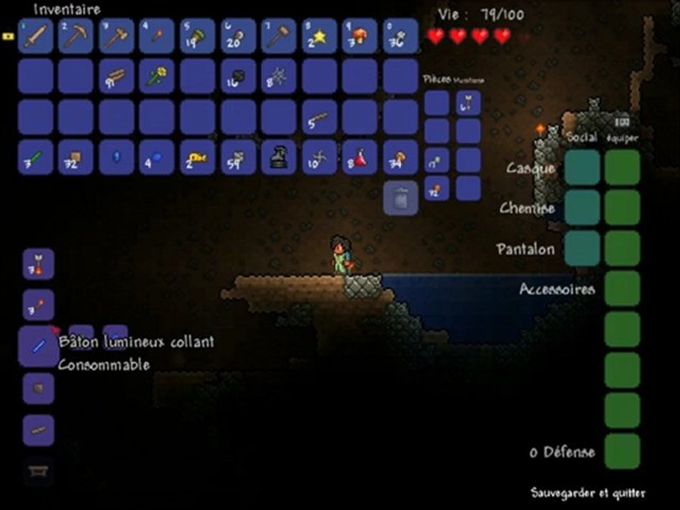 Aventure suivie Terraria : "Into The Wild" - Ep 02