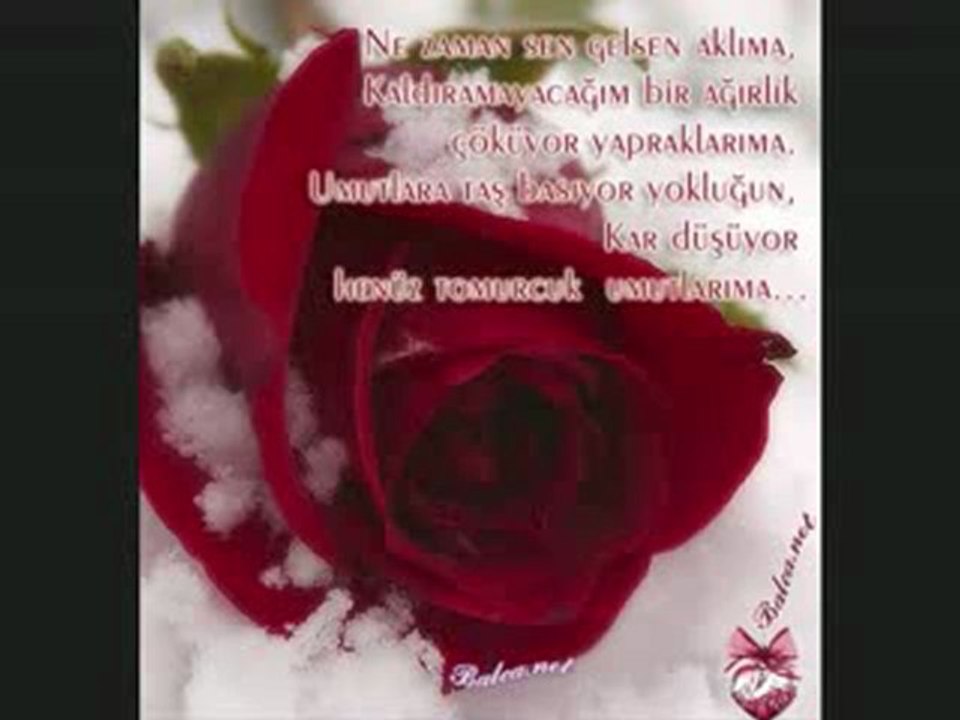 Turan Sengul Li Xwe Bas Binere