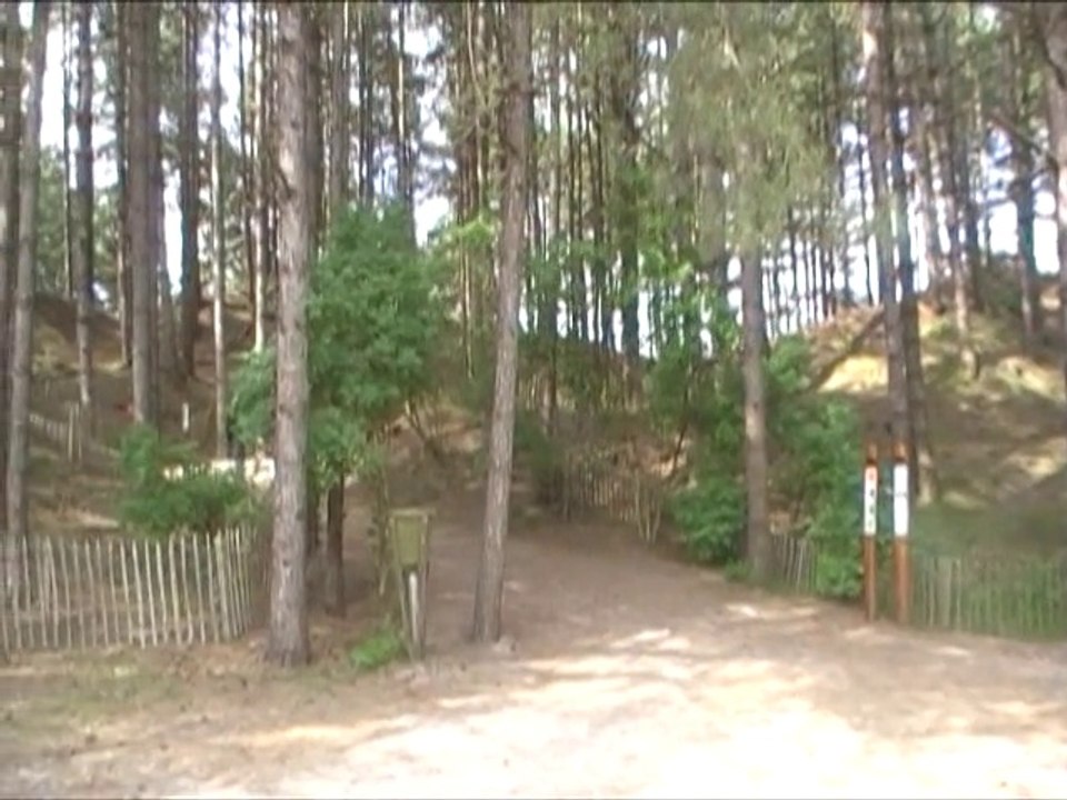 Images du Marquenterre