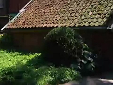 Holidays on East Frisian Islands | Discover Germany