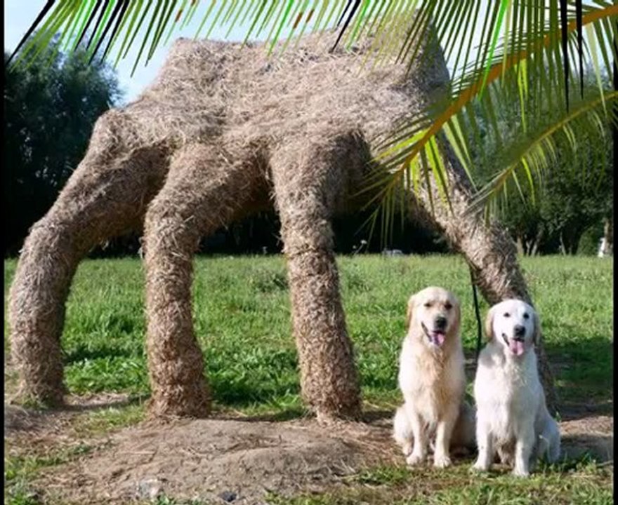 Vacances dans le Nord Celeste et First