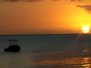 mise a l'eau baleine MD aout 2012