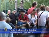 Panda Celebrates 2nd Birthday in Vienna Zoo